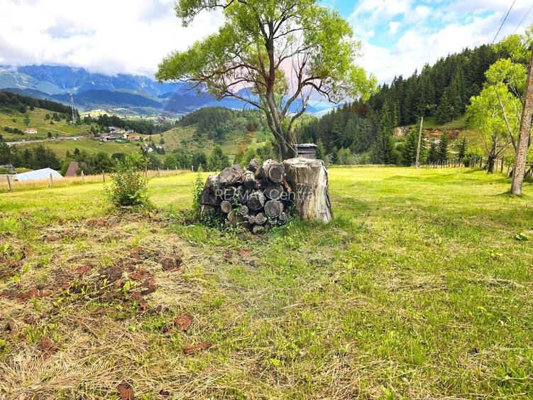 Teren de vis în Fundata 1934mp sau 3868mp, la înălțimea sufletului tău - 2