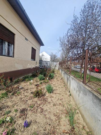 Casa situata in zona Blascovici, pe frumoasa strada Maslinului - 3