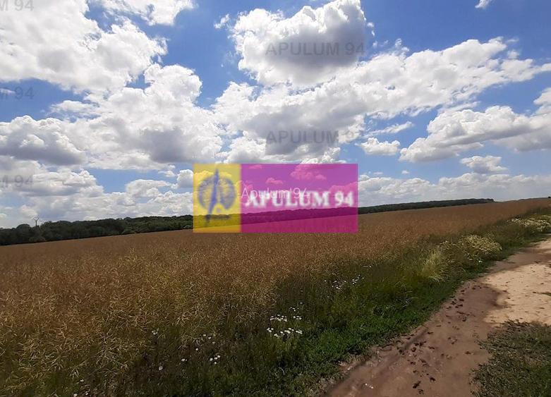 Teren 715mp în Snagov lângă Equestria - 54