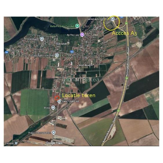 Teren intravilan Caciulati/ Moara Vlasiei 1000mp - 2