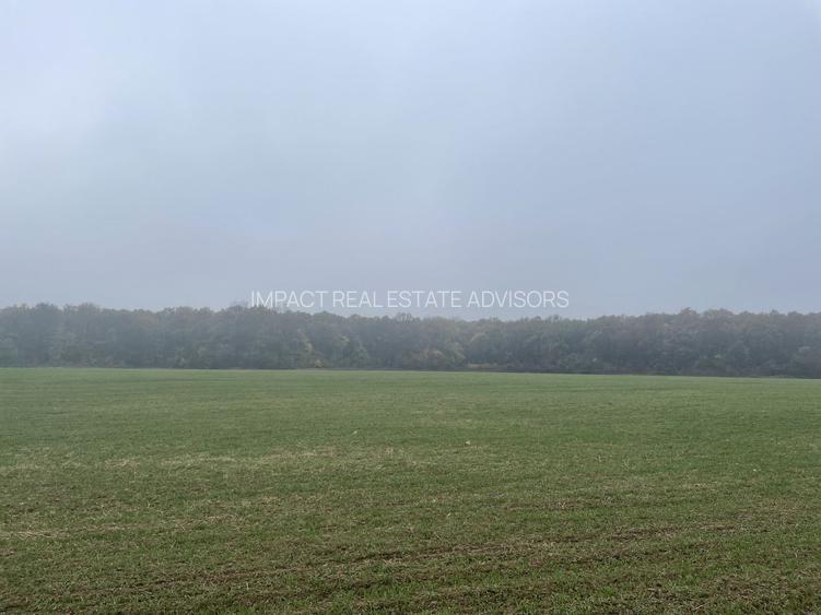 9400 mp | Ideal pentru investitie | Tunari | Deschidere la padure - 8