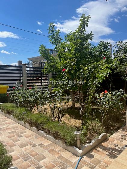 Duplex de vanzare,Domnesti - 21