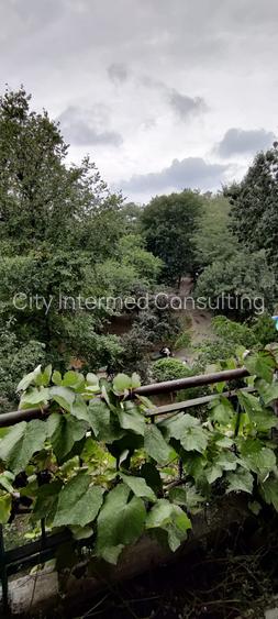 Apartament 3 Camere 120mp, vedere in Parc Cismigiu. 745 eur/luna. - 15