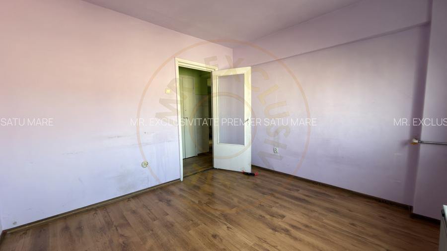 Apartament 4 camere Etaj IV, MV1, Zona Ludy - Str. Regele Ferdinand I - Carei - 13