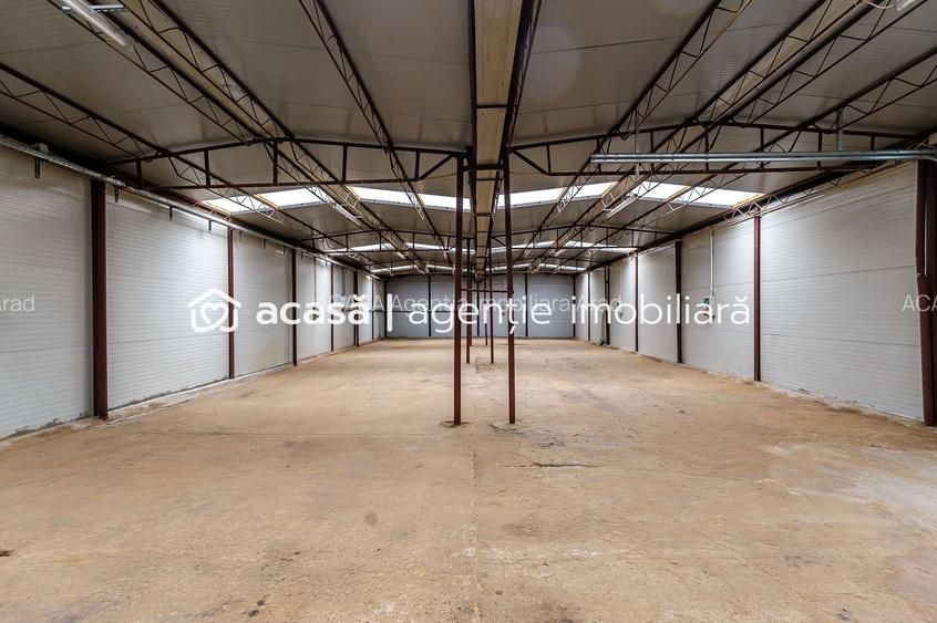 Hale depozitare/producție 2.000 mp si 10.000 mp teren în Pecica - 5