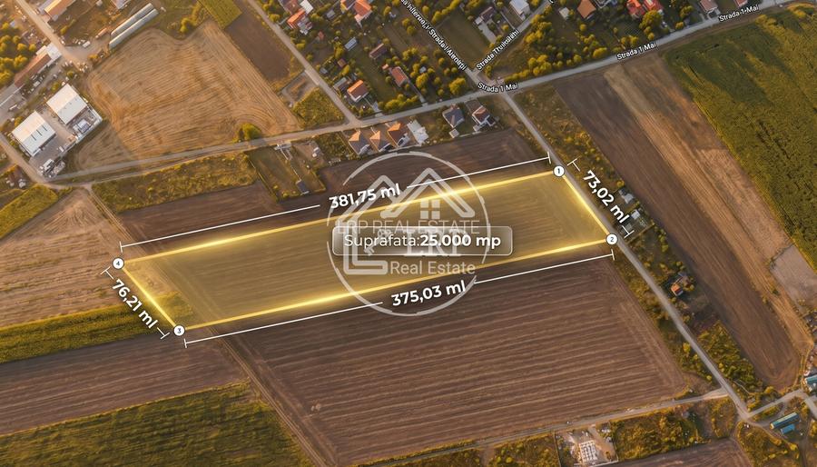 OPORTUNITATE INVESTIȚIE:Teren intravilan 25.000mp Dascălu-Pădure, parcelabil - 2