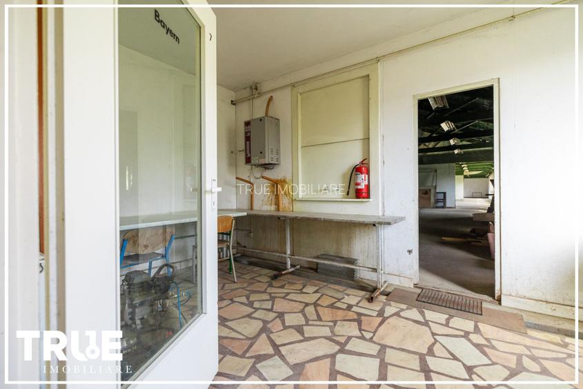 Hală de producție și depozitare - Voiniceni, Mureș - 10