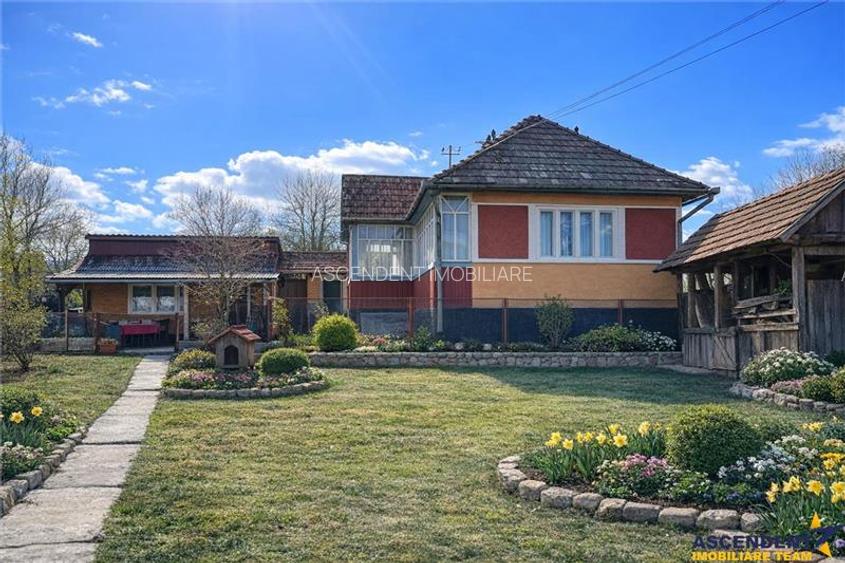 Tur 3D!4.300 mp teren, pomicultura +casa traditionala, anexe, Craiesti, Mures - 3