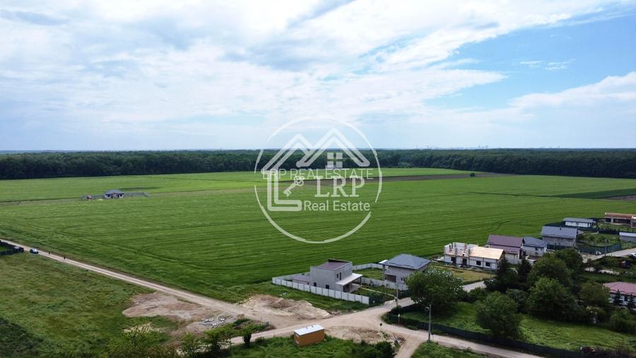 OPORTUNITATE INVESTIȚIE:Teren intravilan 25.000mp Dascălu-Pădure, parcelabil - 13