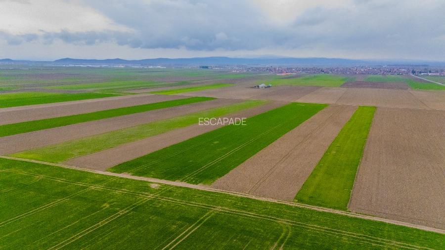 Comision 0%, teren extravilan Prejmer - 3