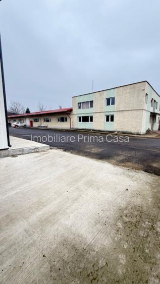 Zona Margeanului HALA industriala +birouri +depozit  ! - 3