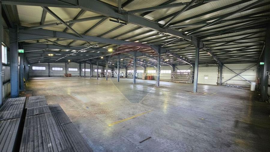 Complex industrial de vanzare – Aricestii Rahtivani, Prahova - 12007mp - 6