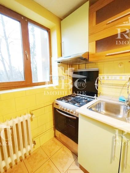 Apartament 3 camere decomandat zona Iulius Mall Parcul Detunata - 19