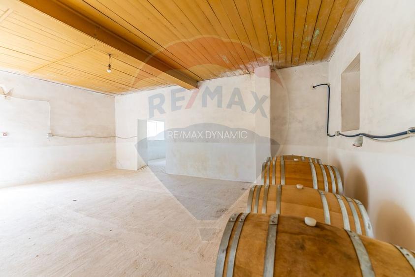 Conac aristocratic secolul XIX , domeniu  2,5 hectare — Păuliș, Arad - 19