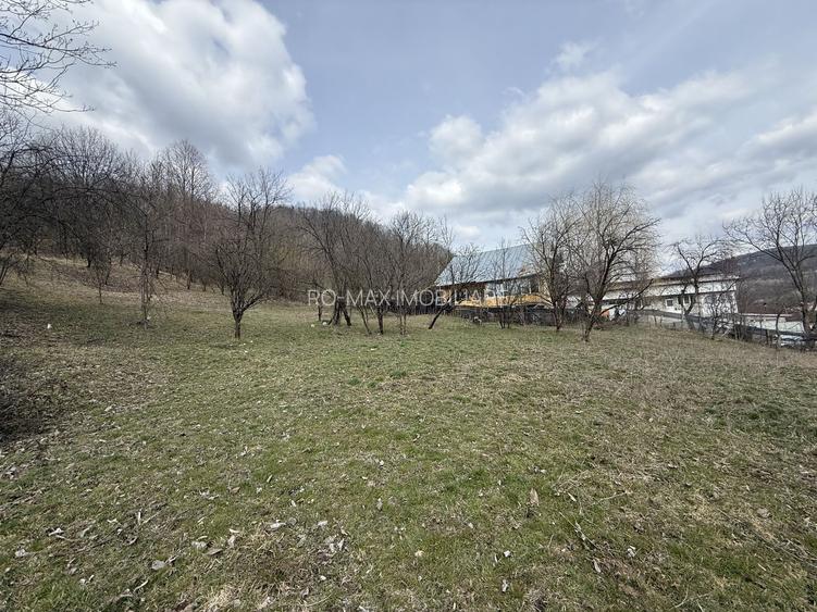 Teren 6040 mp la baza pădurii deschidere 40 ml - 5