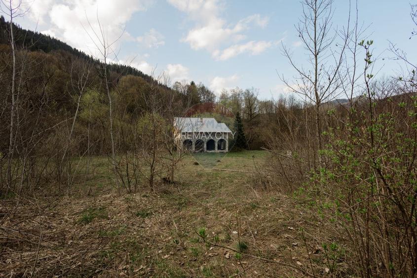 Casa si teren intravilan Tarcau - 22