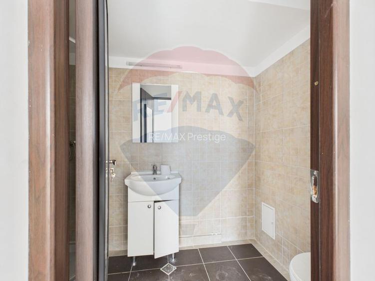 Proprietate speciala Dragomiresti Deal -Teren 15000 mp - 23