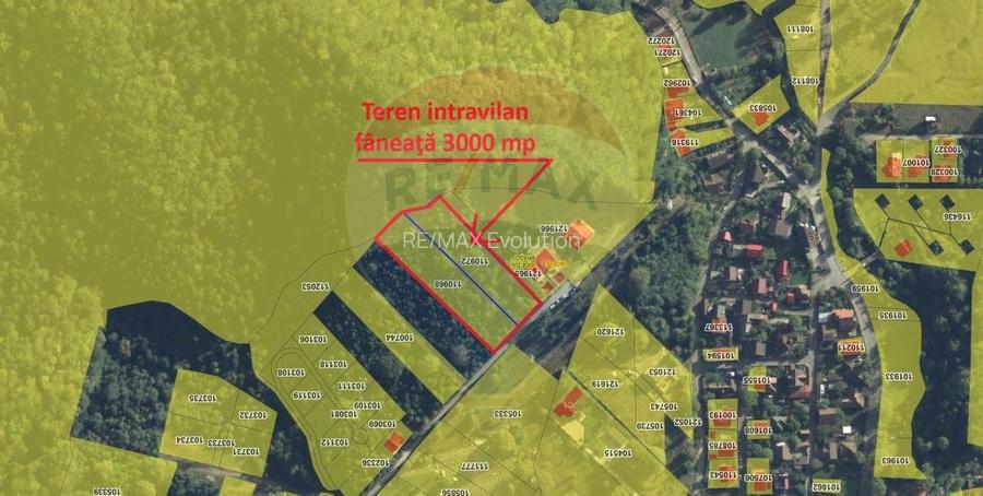 Teren intravilan, 3000 mp, Dâmbu Morii - 3