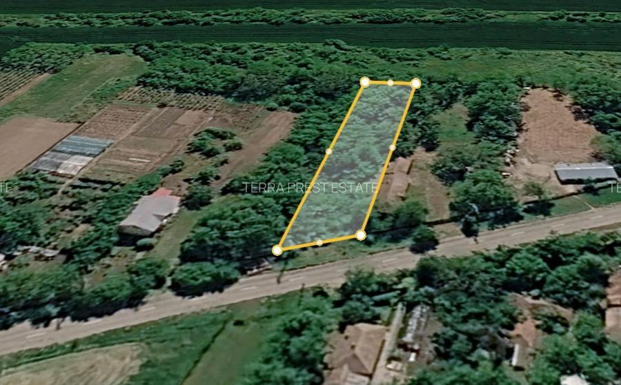 15000 euro pentru 900 mp! Intravilan Nuci, sat Merii Petchii - 2