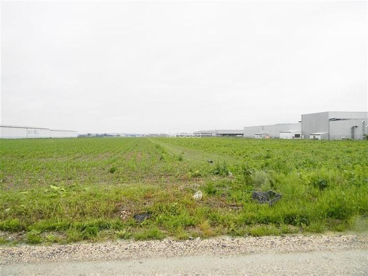 Teren pentru hale-Ghimbav-Joysonquin - 10