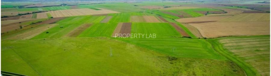 Teren agricol 5ha Giarmata langa Antena Radar - 2