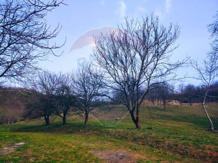 Teren intravilan generos 3.206 mp în Remecioara | Priveliște deosebită - 5
