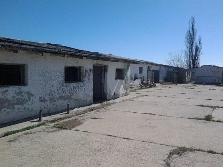 Teren intravilan Mogosesti | Giurgiu | 370.000mp | Adunatii Copaceni