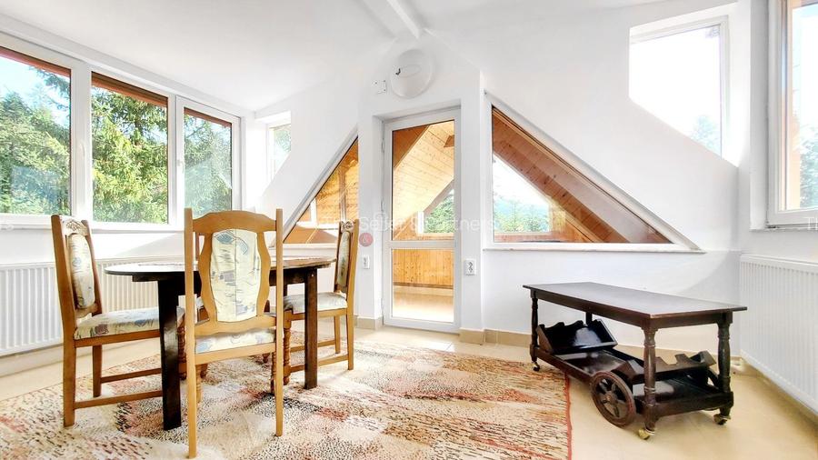 Priveliste Panoramica Muntii Bucegi - 3