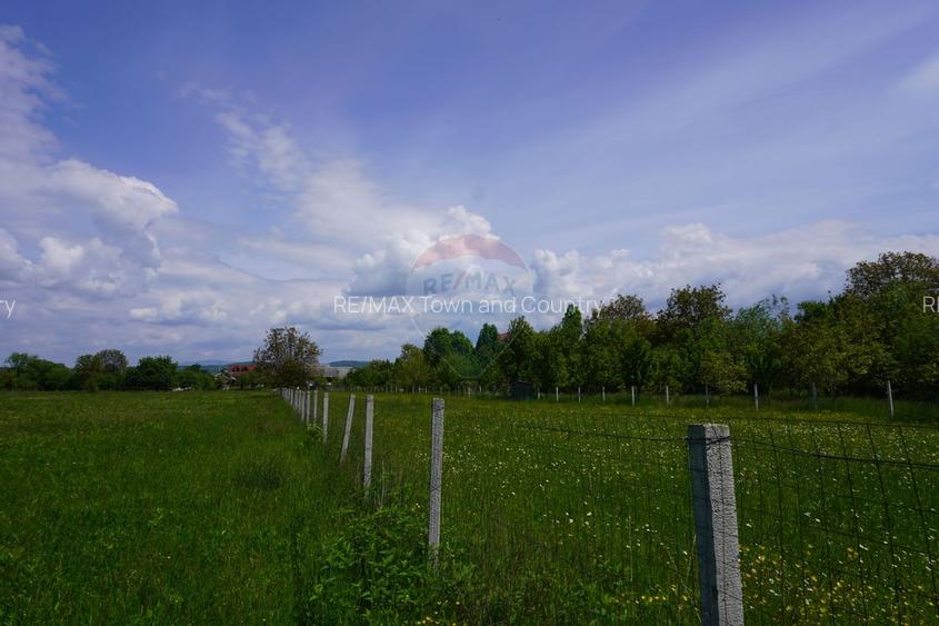 Teren 2,486mp Sighetu Marmatiei / Strada Constantin Dobrogeanu-Gherea - 3