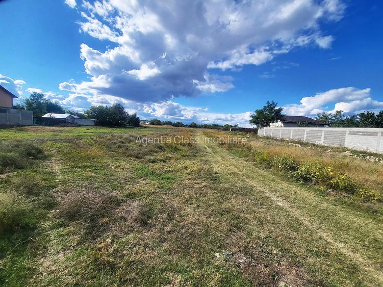 Loturi Teren Sat Pietroiu - 3