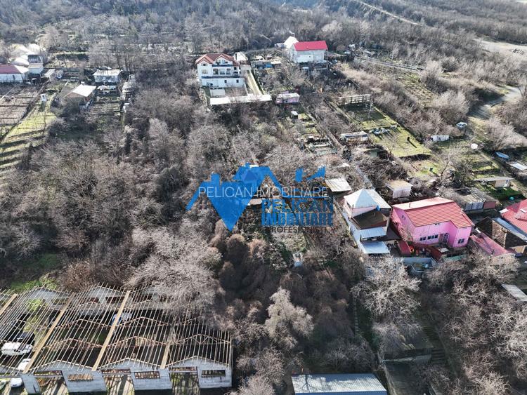 Teren intravilan BIDIDIA, zona deosebita, 550MP - 8