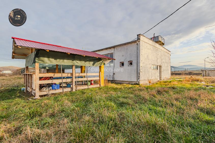 Hala industriala de vânzare – Bod, Brasov - 9