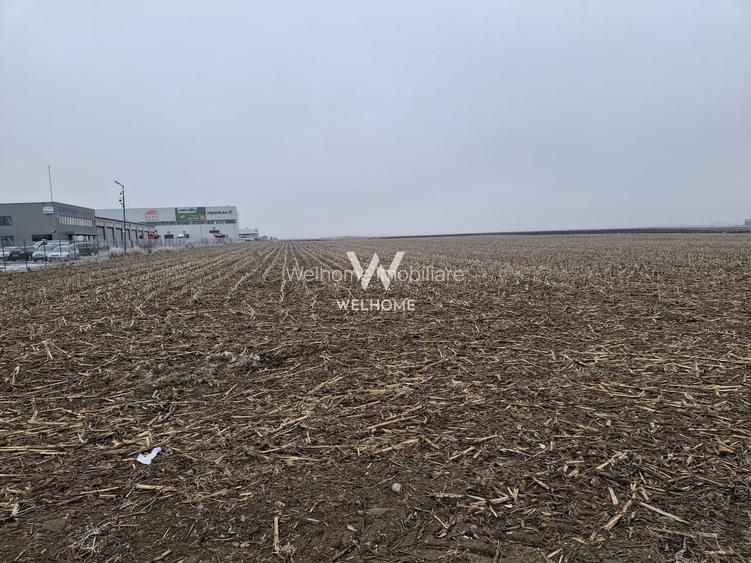Teren industrial de vânzare , Sibiu– Zona Industrială Vest, 20.800 mp - 4