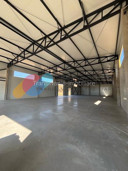 Hale de vânzare – 600 mp, open space, acces TIR, zona intrare Baciu - 3