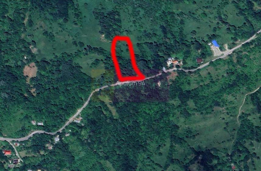 Teren intravilan de vanzare in Telega - 13