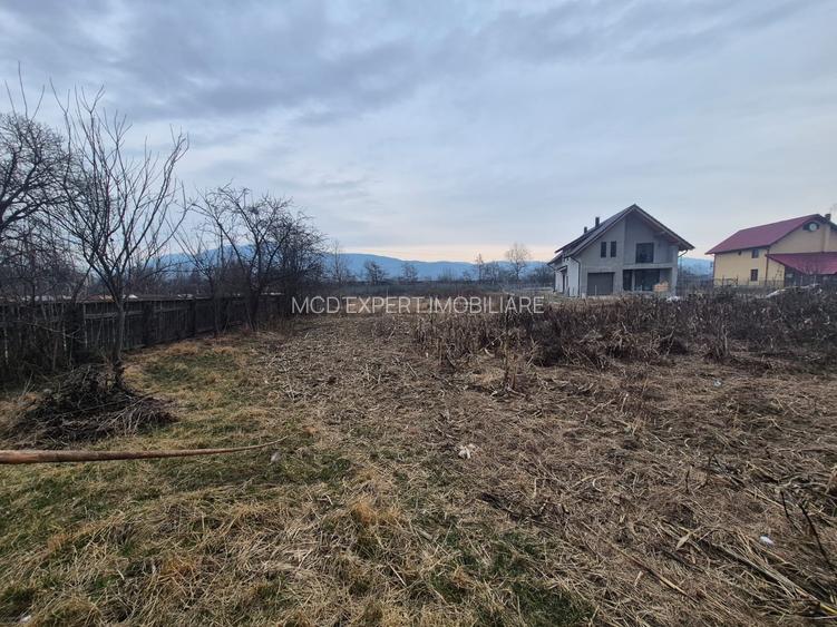 Casă de vânzare – Zona Agarcia, județul Neamț - 10