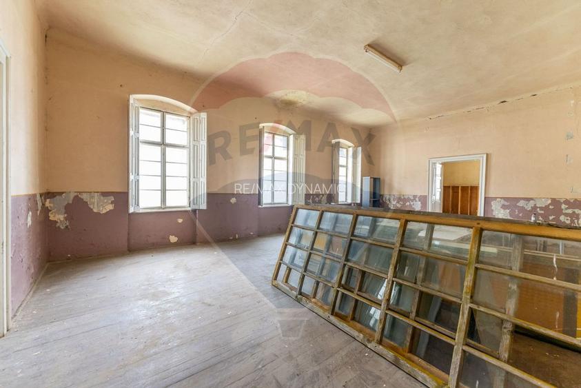 Conac aristocratic secolul XIX , domeniu  2,5 hectare — Păuliș, Arad - 9