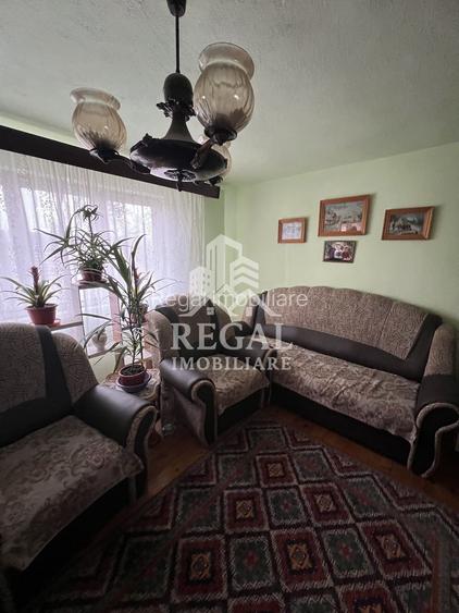 Două case individuale de vânzare în Teliuc –ideale pentru două familii - 14