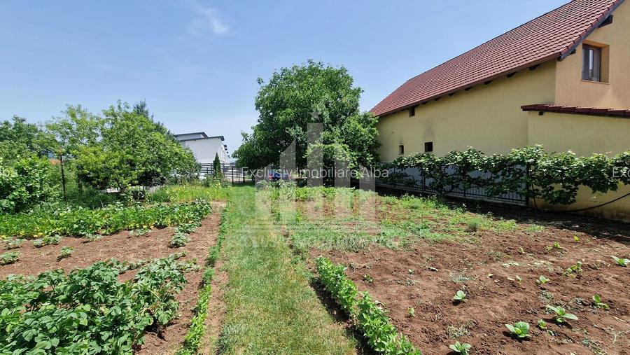 Teren intravilan | 1400 mp | 16 ml deschidere | Alba-Micesti - 3
