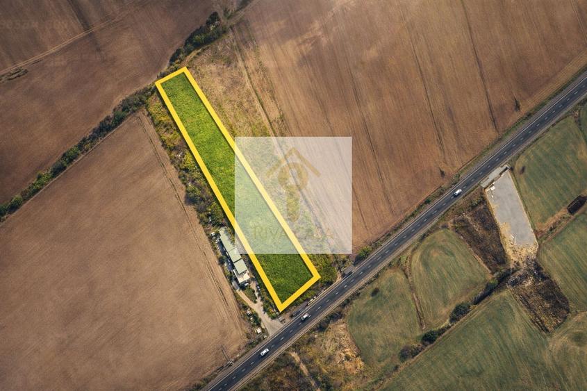 TEREN INTRAVILAN 7.959 MP – DN79 NOJORID, BIHOR