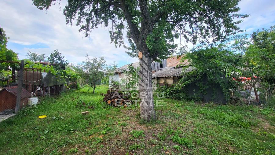 Casa individuala 3camere si teren de 1487 mp Bogdanestilor