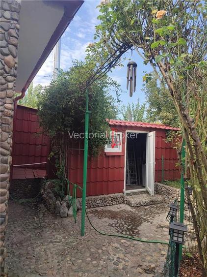 Inchiriere casa individuala 3 camere si curte generoasa Chitila - 12