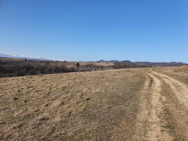 Teren Codlea – Vladeni zona de case cu Puz - 7