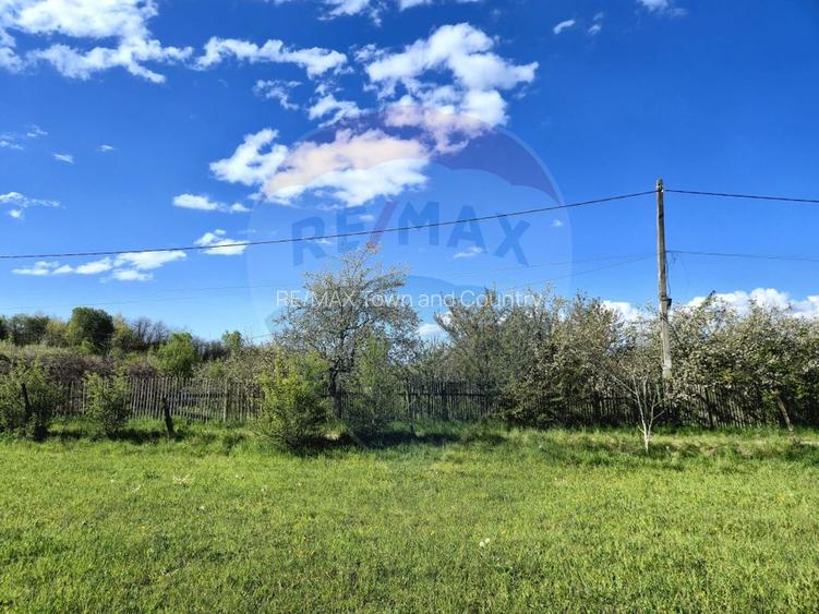 Teren 6,458mp Sighetu Marmatiei / Strada Doboies - 1