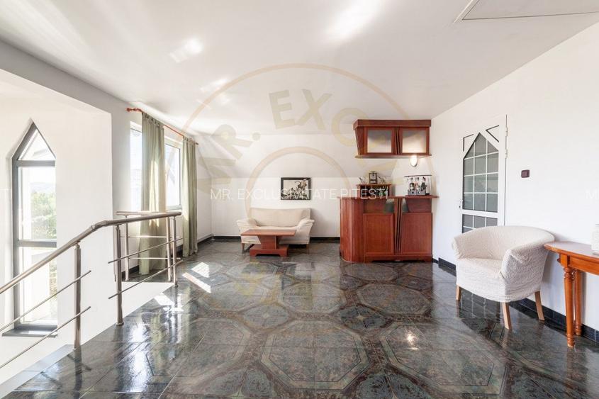 Casa visurilor cu livada roditoare si gradina amenajata Darmanesti-Arges - 16