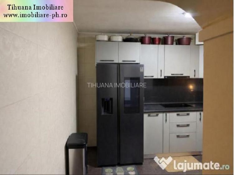 Casa de vanzare:Malu Rosu(compusa din 2 imobile separate in aceasi curte) - 10