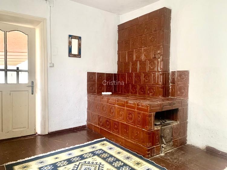 Potențial pensiune / investiție / casa de vacanță  - 5