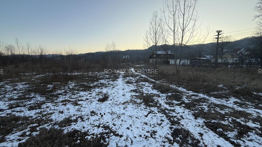 Teren intravilan construcții 10834 mp + construcție- cabană lemn! - 8