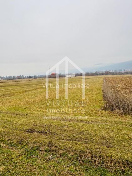 Teren intravilan de vanzare in Sibiu Talmaciu,  859 mp - 2