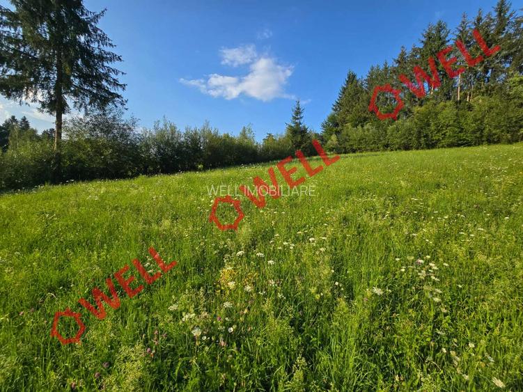 De vânzare teren extravilan în Întorsura Buzăului, pe punctul numit „Tomoja” - 3